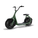 Kaaspeed, Skuter elektryczny K1S (zielony mat)